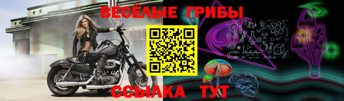 Псилоцибиновые грибы мицелий  Галлюциногенные грибы MAGIC MUSHROOMS  наркота  Волжский  Вход с VPN 